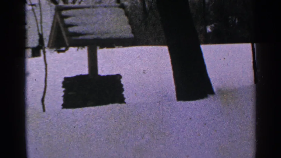 A closer winter frame of the snow-covered well in Minnesota, with bare trees and 8mm color grain.