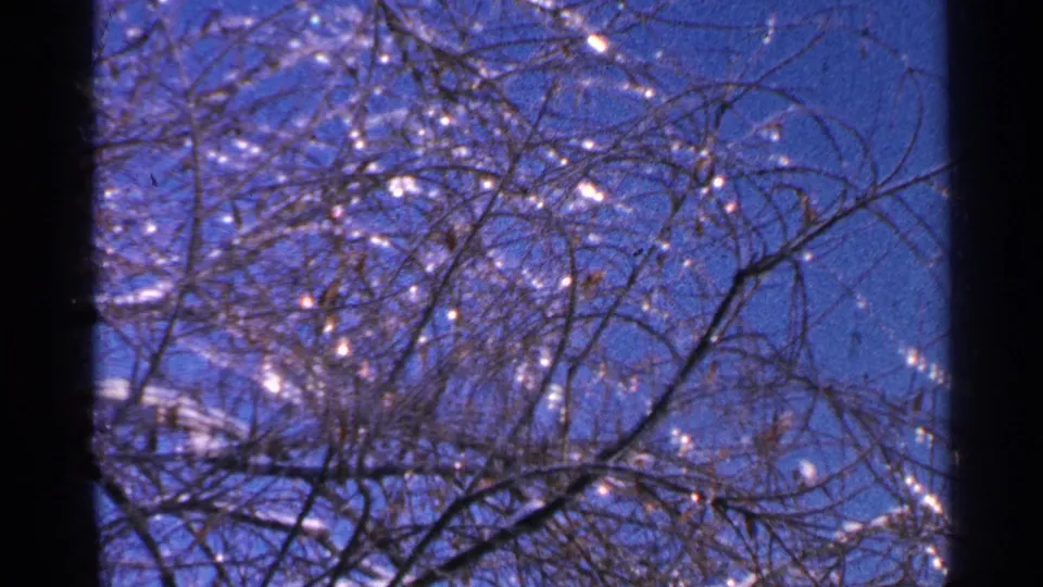 The camera tilts up to leafless Minnesota winter branches sparkling with frost or ice against a deep blue sky.