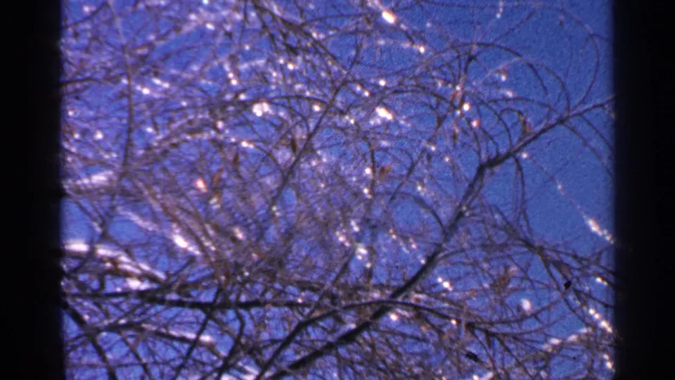 1965 Minnesota 8mm frame showing leafless branches coated in ice, viewed upward against a saturated blue winter sky.