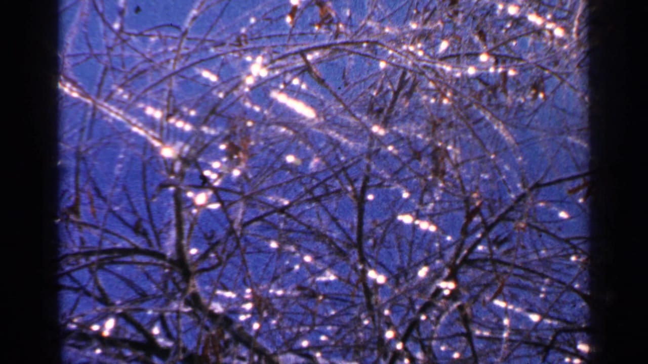 1965 Minnesota home-movie frame with ice-glazed tree limbs and small light flares against a clear blue sky.