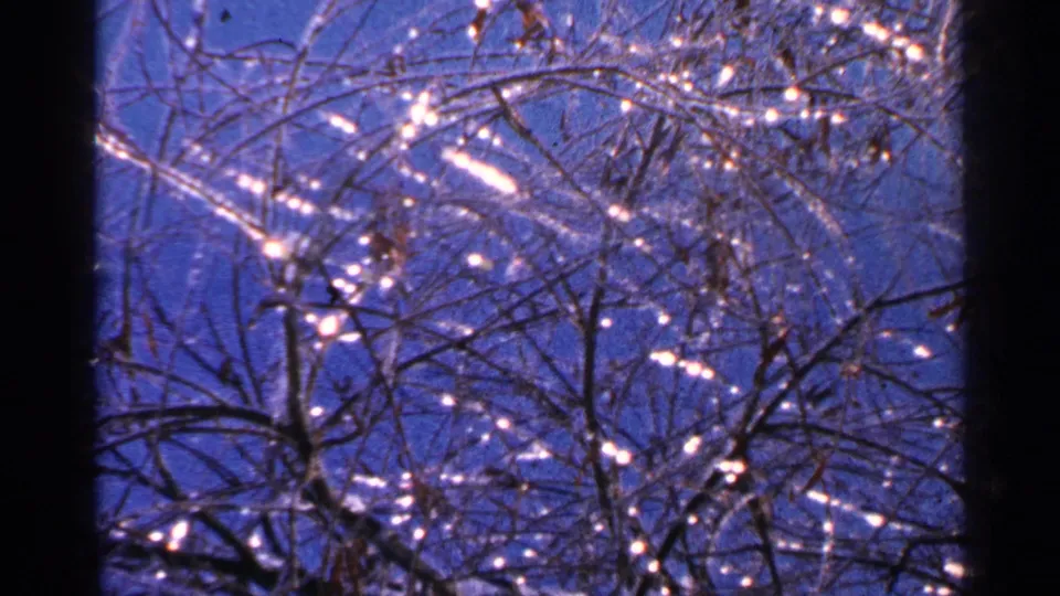 1965 Minnesota home-movie frame with ice-glazed tree limbs and small light flares against a clear blue sky.