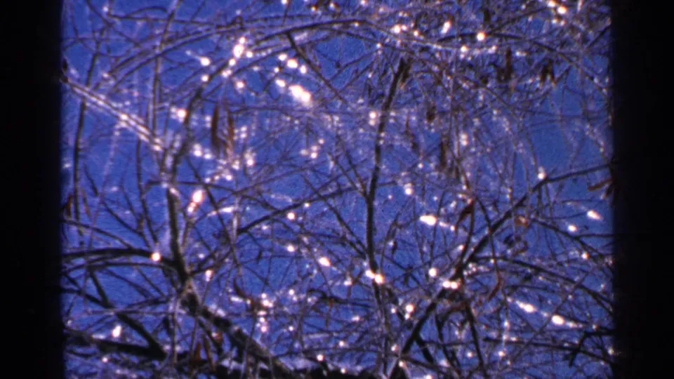 1965 Minnesota home-movie frame showing ice-coated tree branches with sparkling highlights against a deep blue sky.