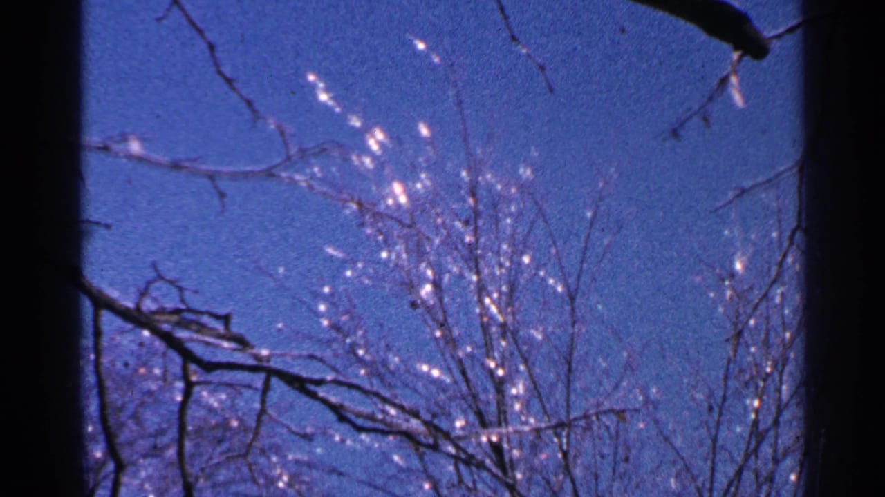 1965 Minnesota 8mm frame showing bare tree branches silhouetted against a saturated blue sky with small sparkling highlights.