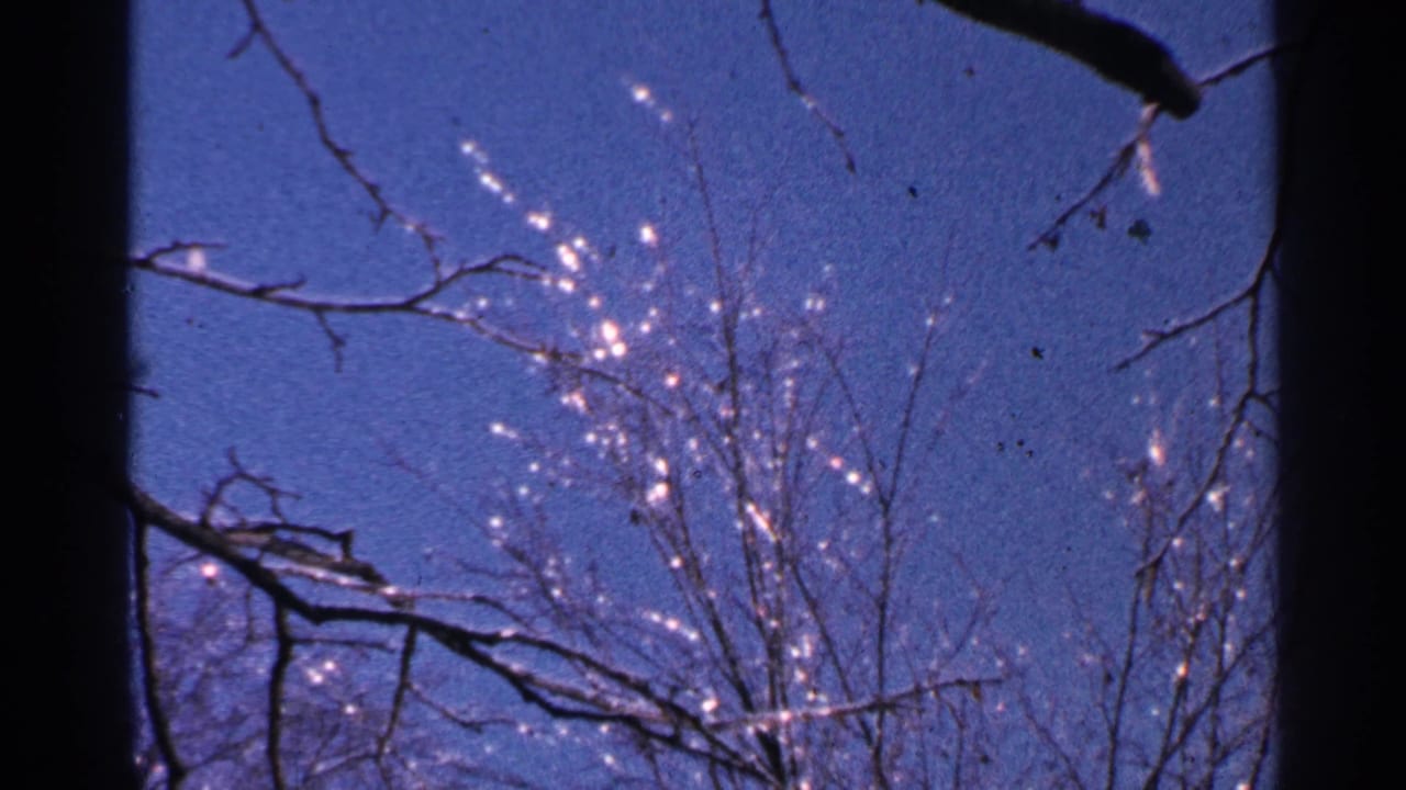 1965 Minnesota 8mm frame with leafless branches crossing a blue sky and light glittering along fine twigs.