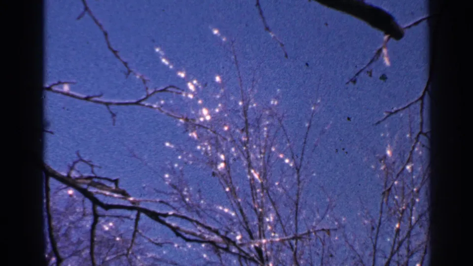 1965 Minnesota 8mm frame with leafless branches crossing a blue sky and light glittering along fine twigs.