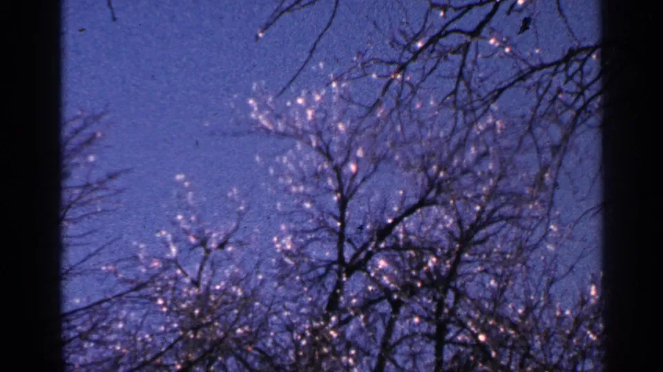 1965 Minnesota 8mm frame looking upward at bare treetops, blue sky, and shimmering points of reflected light.