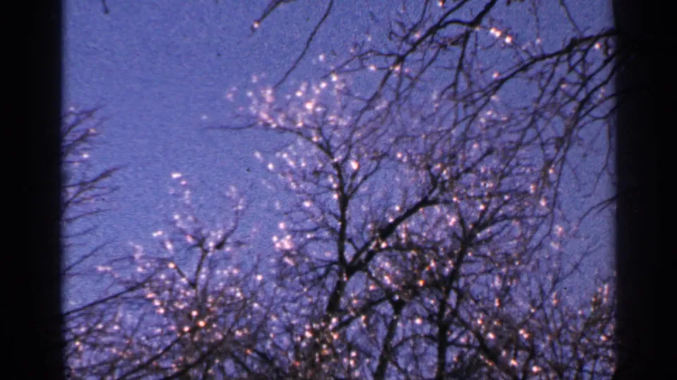 1965 Minnesota 8mm frame of leafless trees against a blue sky, with sparkling highlights concentrated near the branches.