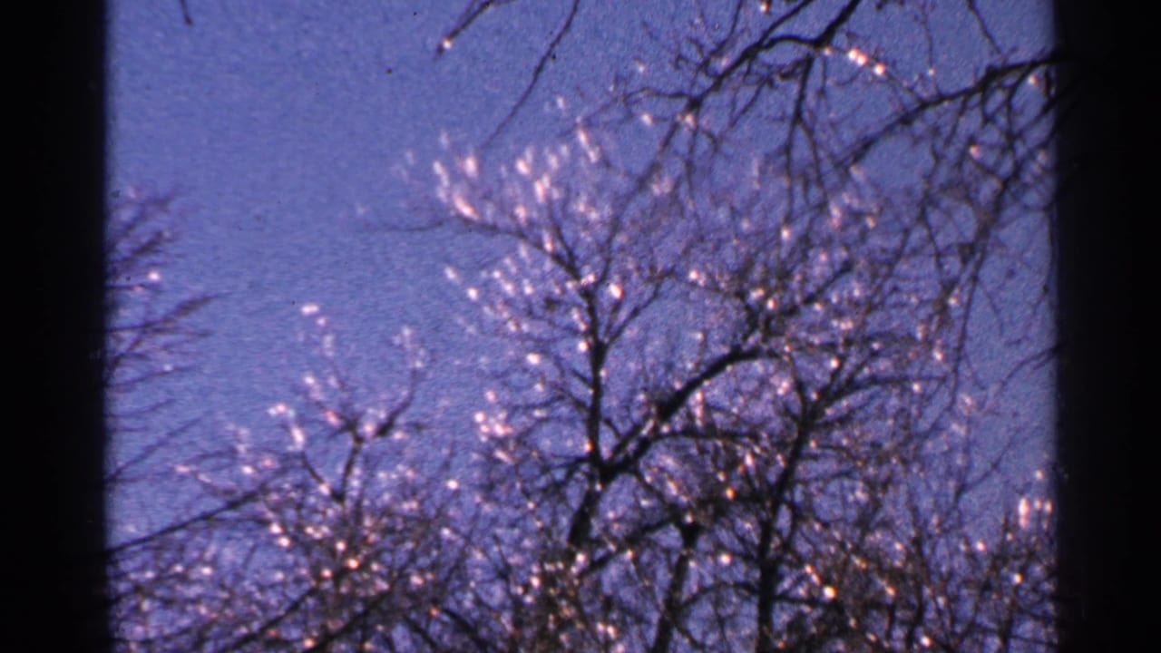 Bare icy tree branches seen through a dark window frame above a snowy yard.