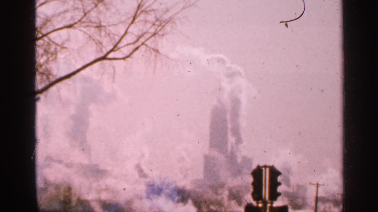 Smoke plumes rise behind a traffic light and bare tree branches in a hazy industrial scene.