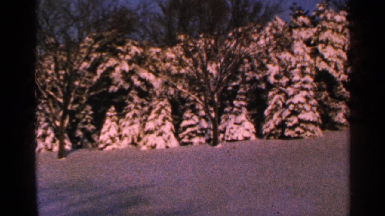 1965 Minnesota 8mm frame of a quiet snow-covered yard with evergreen trees, bare branches, and blue-pink film color shifts.