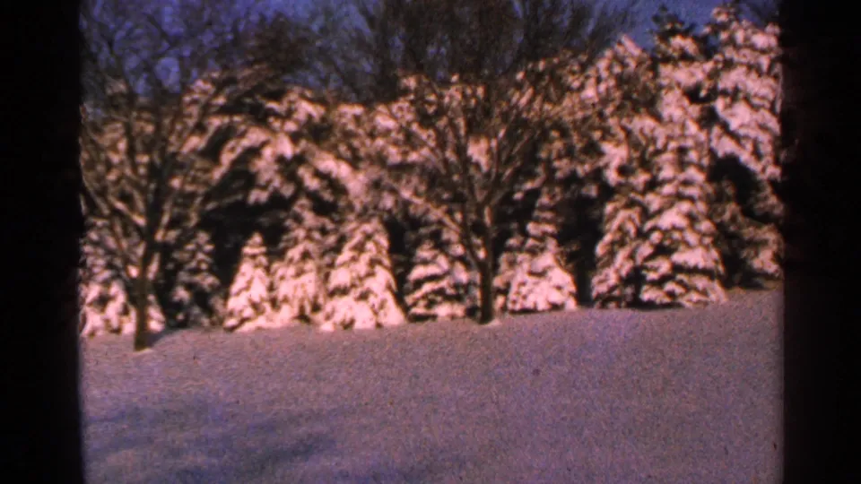 1965 Minnesota 8mm frame showing snow-laden evergreens and bare trees beyond a smooth winter yard.