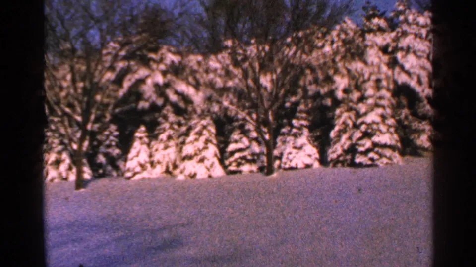 1965 Minnesota 8mm frame of a snow-covered yard with evergreens, bare trees, soft focus, and visible film grain.