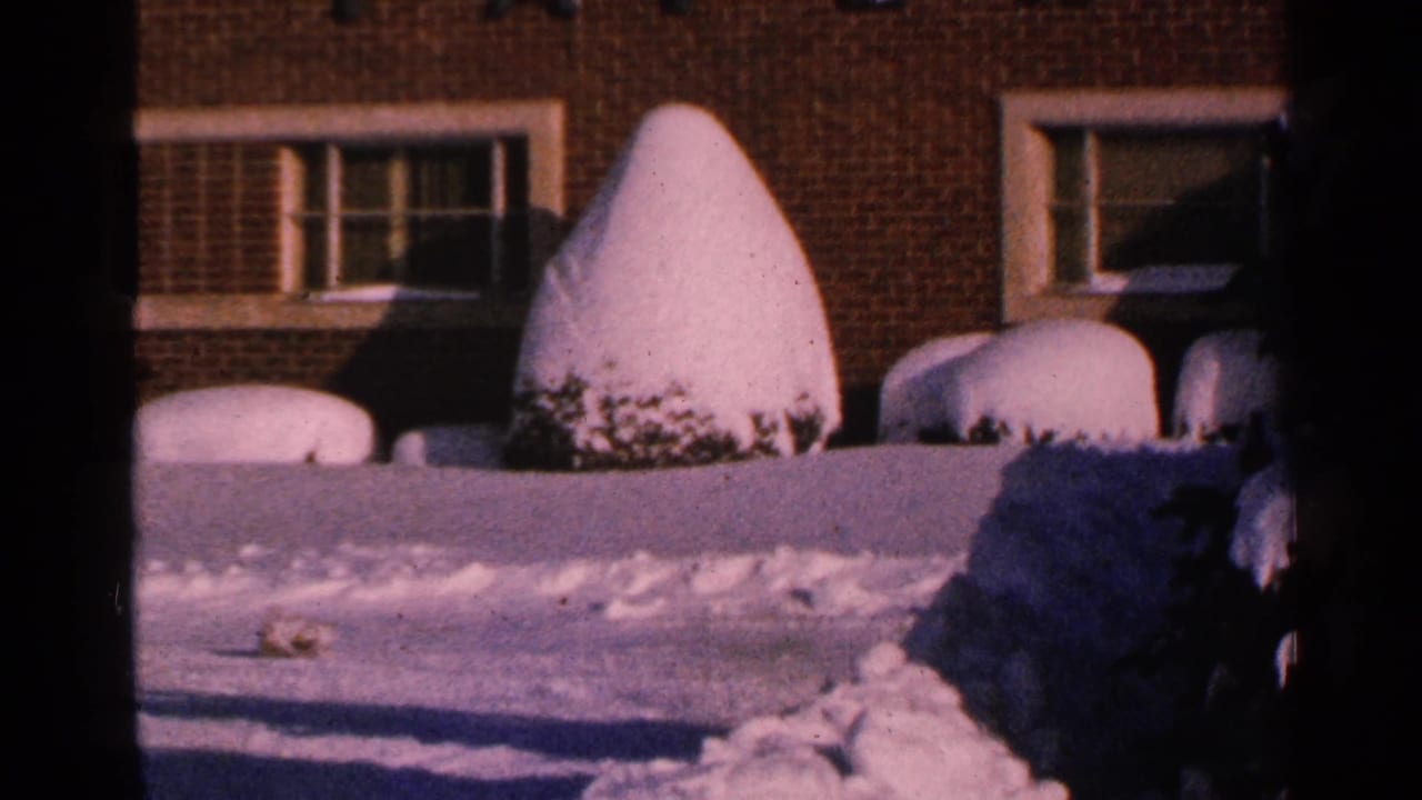 Snow-covered conical shrubs stand before a brick building with rectangular windows in this 1965 Minnesota winter view.