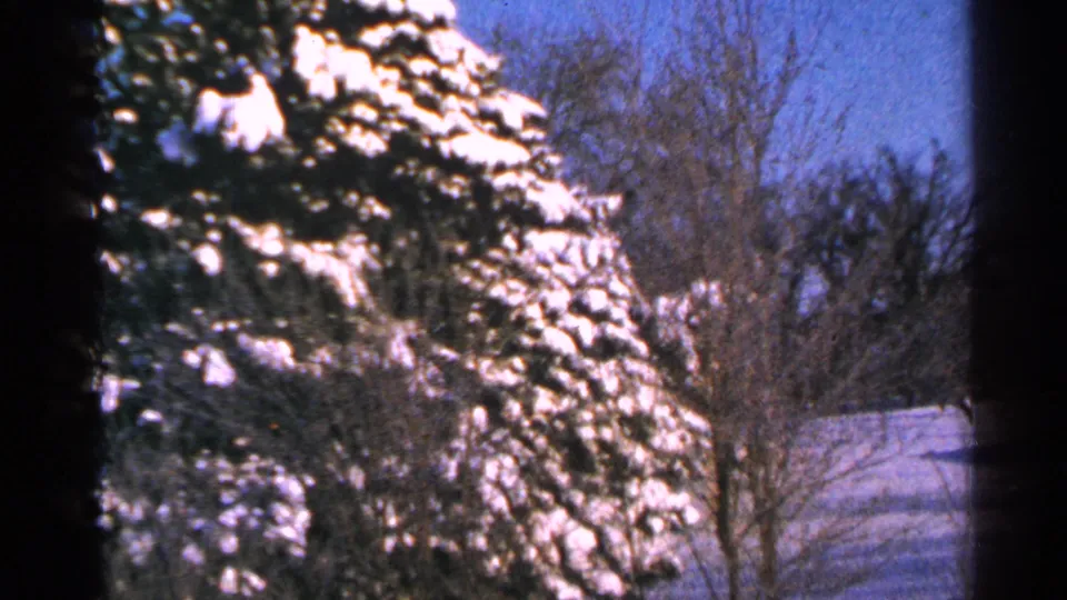 1965 Minnesota winter frame showing snow-covered evergreen branches, bare trees, and a quiet residential roofline.