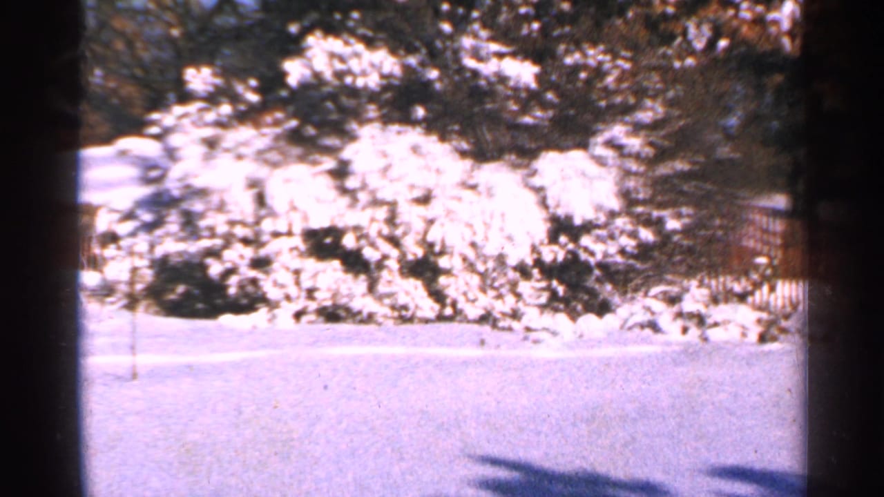 1965 Minnesota 8mm frame showing a snowy yard edge with snow-laden shrubs, evergreens, and a partial fence in the background.