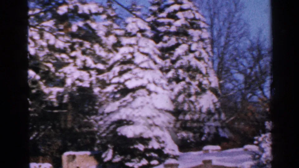 1965 Minnesota winter frame showing a tall evergreen loaded with snow, bare deciduous branches, blue sky, and snow at ground level.