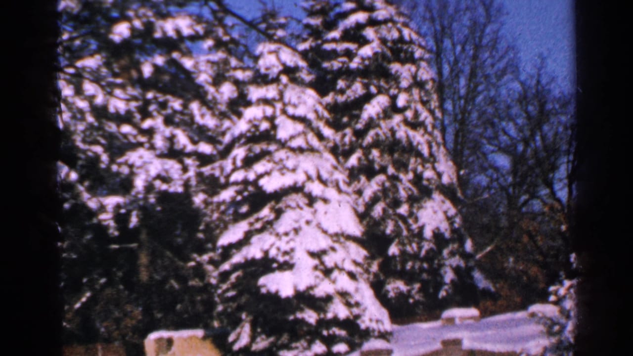 1965 Minnesota home-movie frame with snow-heavy evergreen branches, bare winter trees, and a low wall at the edge of the yard.