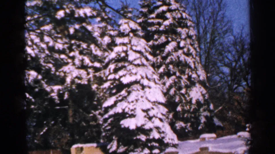 1965 Minnesota 8mm view of snow-covered evergreens, bare branches, a low wall, and blue sky in a winter yard.