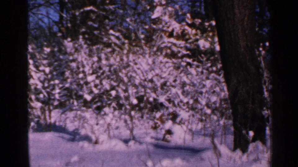 1965 Minnesota 8mm frame of snowy brush and small trees, with a dark trunk at the right edge.