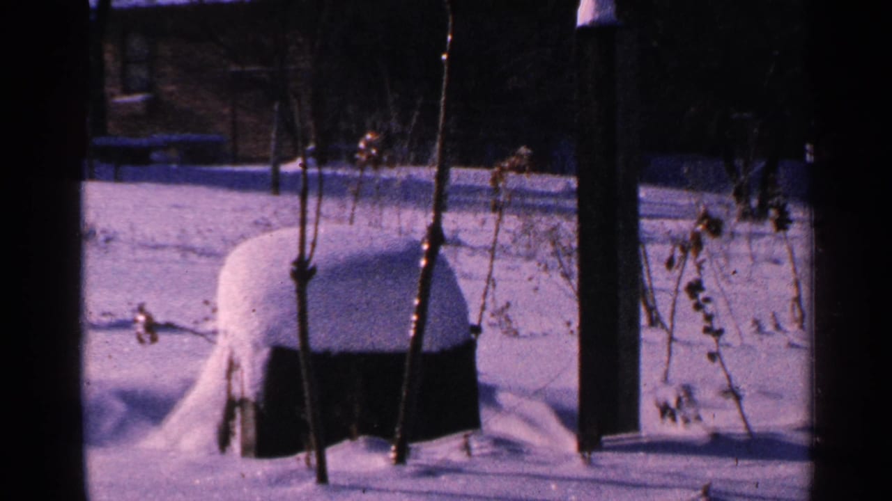 1965 Minnesota yard view with a rounded snow-covered outdoor object, bare branches, and dark vertical posts.