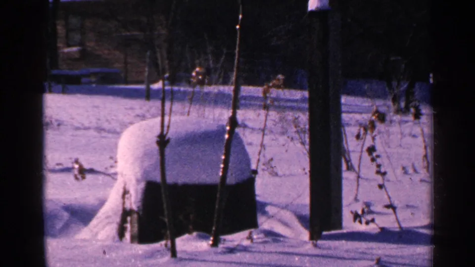 Final 1965 Minnesota frame showing the same snow-buried yard object with bare branches and strong winter shadows.