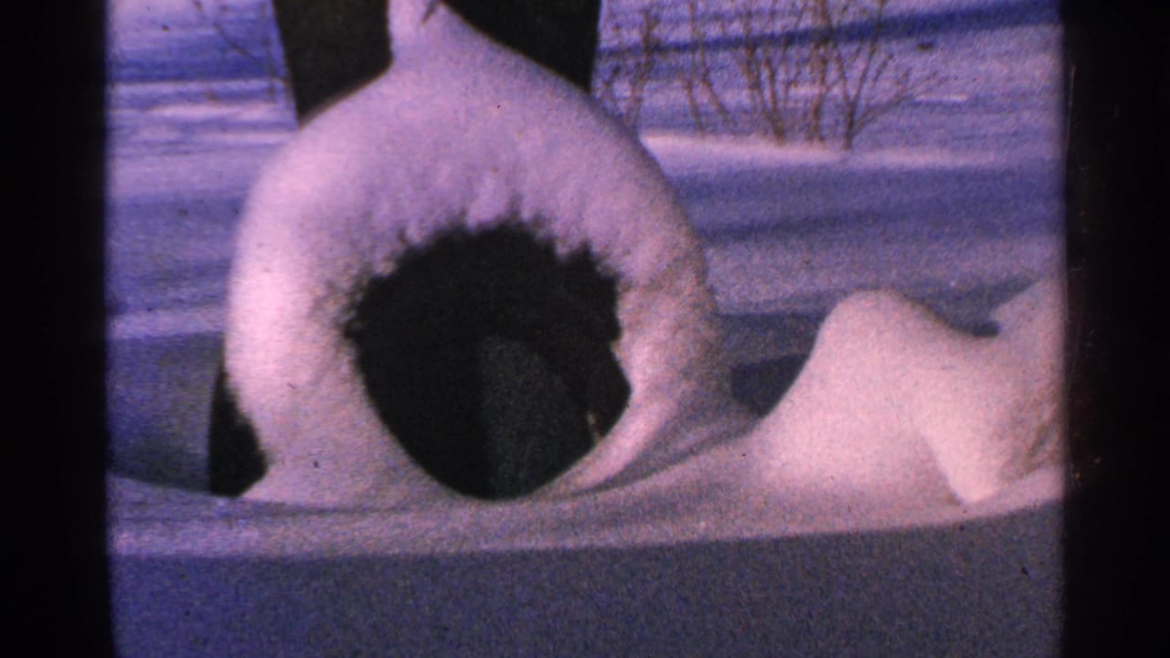 1965 Minnesota 8mm frame showing a snow-covered bird shelter or yard object with a dark opening in a snowy outdoor setting.