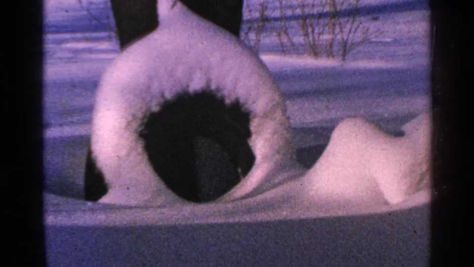 1965 Minnesota 8mm frame showing a snow-covered bird shelter or yard object with a dark opening in a snowy outdoor setting.