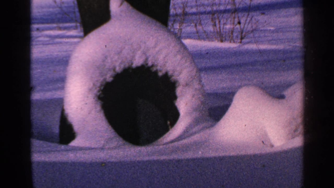 Snow-covered outdoor bird shelter or yard object appears in a Minnesota winter home-movie frame from 1965.
