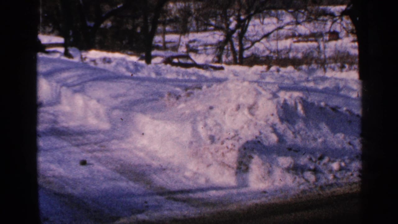 Plowed snowbank and icy roadside with bare trees beyond the road.