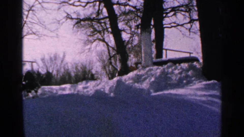 1965 Minnesota winter frame with snow-covered ground, dark tree trunks, bare branches, and a roadside rail or line in the background.