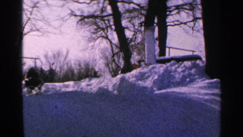 A quiet 1965 Minnesota winter view shows blue-shadowed snow, bare trees, a raised snowbank, and open pale sky.