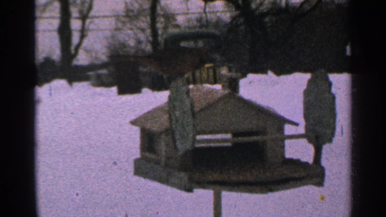 Blue bird feeder on a pole in a snowy yard with bare trees behind it.