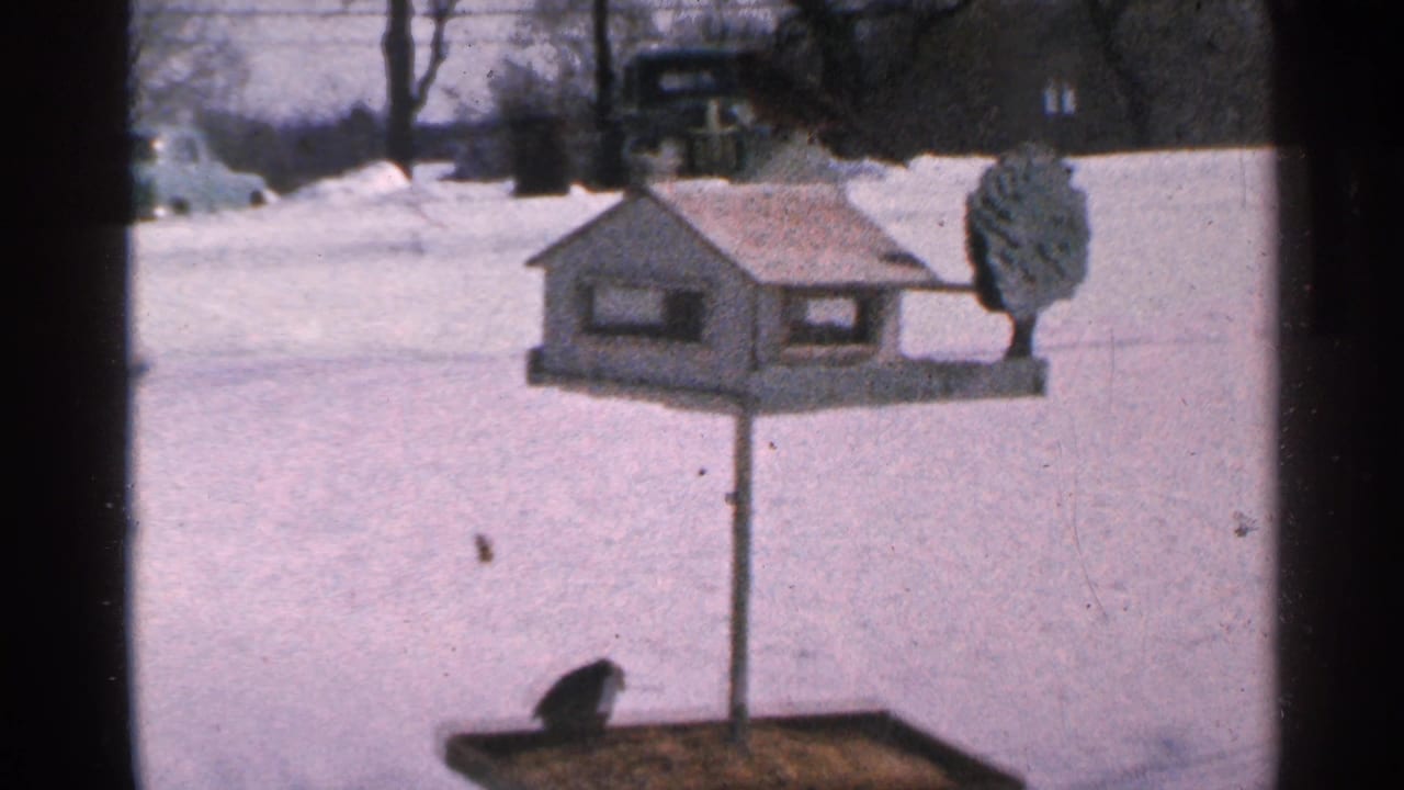 1965 Minnesota 8mm frame with a small dark bird on the tray below a blue feeder in a snowy residential yard.