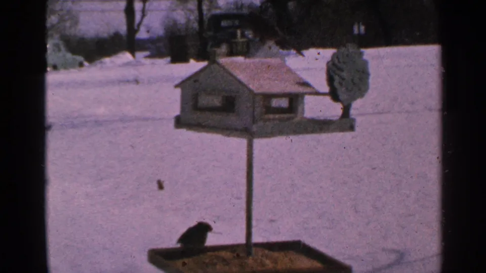 1965 Minnesota 8mm frame showing a bird at the feeder tray, with the blue house-shaped feeder and snowy yard behind it.