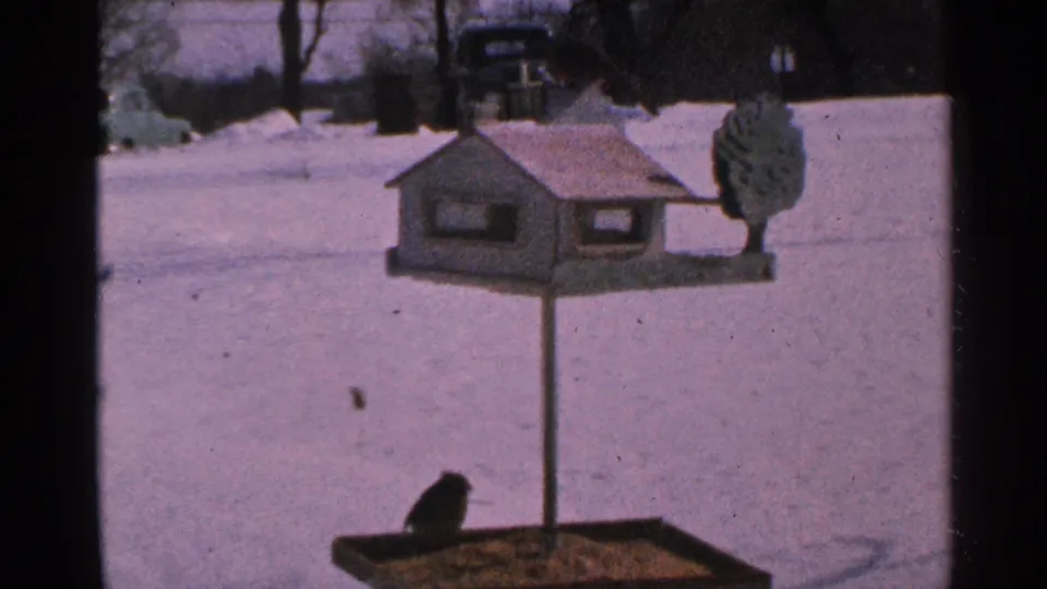 1965 Minnesota 8mm frame of a small bird feeding below a blue bird feeder, framed by snow, trees, and distant homes.