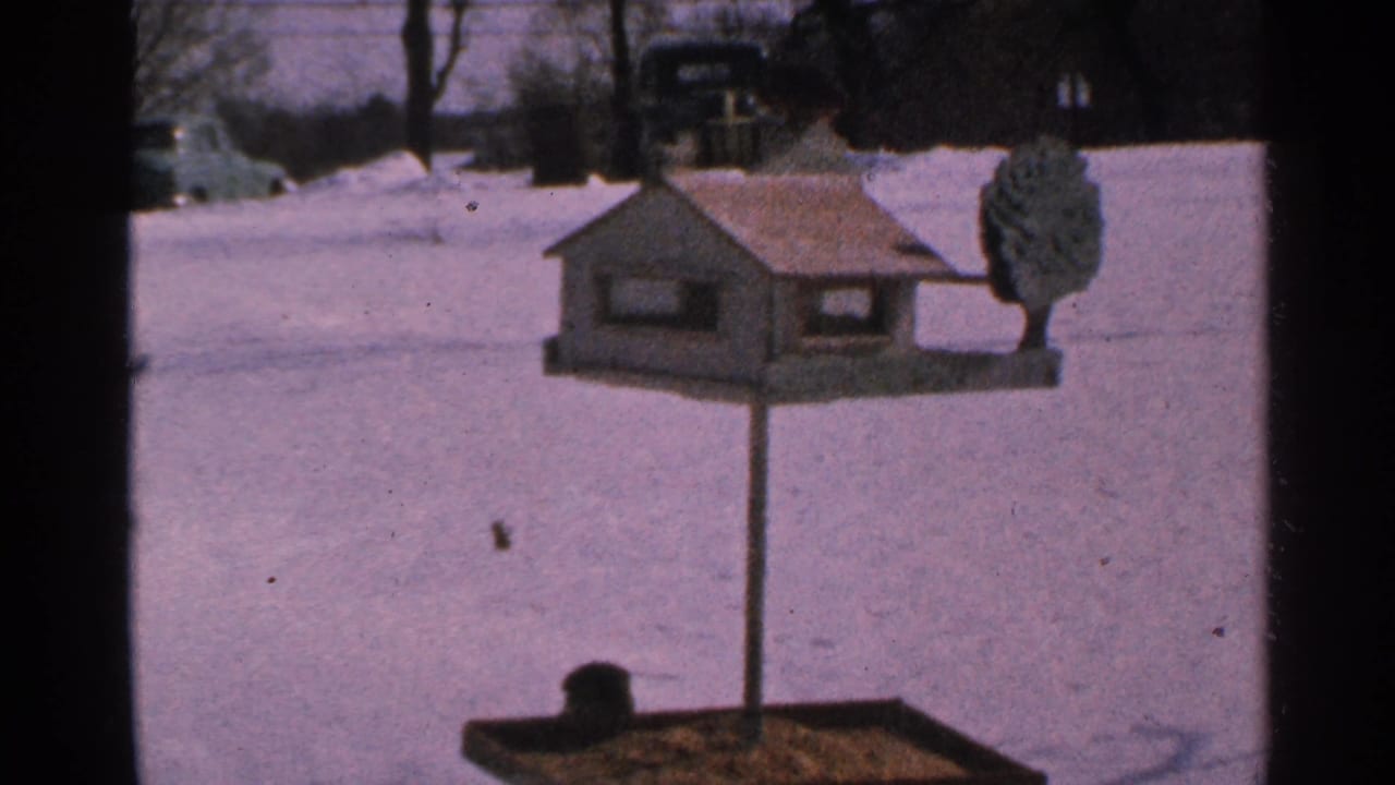 1965 Minnesota 8mm frame showing a small bird at a yellow house-shaped feeder against snow-covered ground.