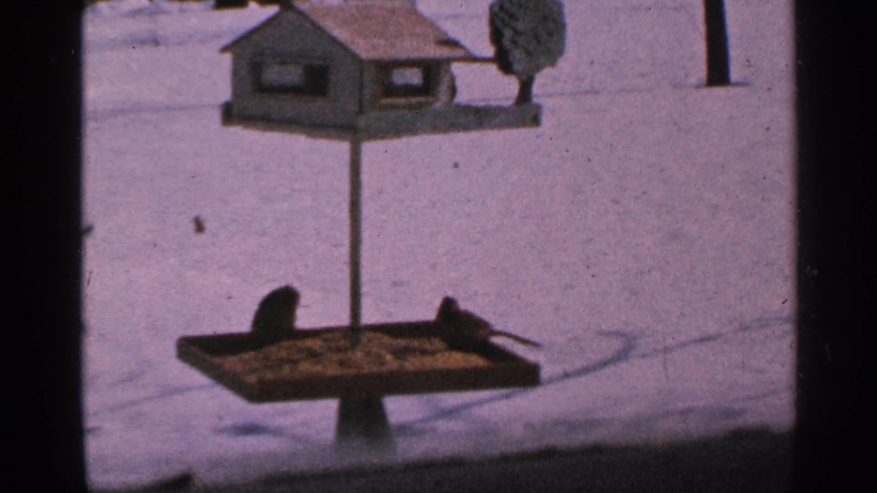 1965 Minnesota 8mm frame showing two dark birds on a seed tray beneath a wooden birdhouse in a snowy yard.