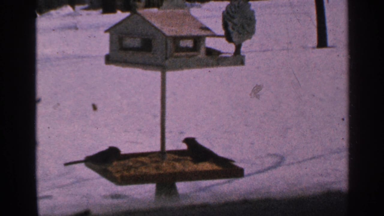 Two dark birds face across a lower tray feeder below a birdhouse, with snow filling the Minnesota backyard frame.