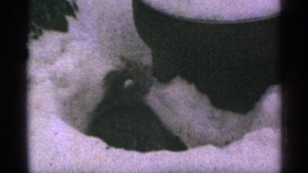 Squirrel in snow beside a dark cylindrical object, framed by 8mm film edges.