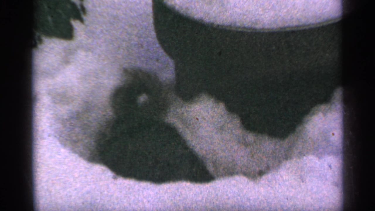 The squirrel remains low in the snow beside a large dark object, with muted color and 8mm grain visible across the frame.