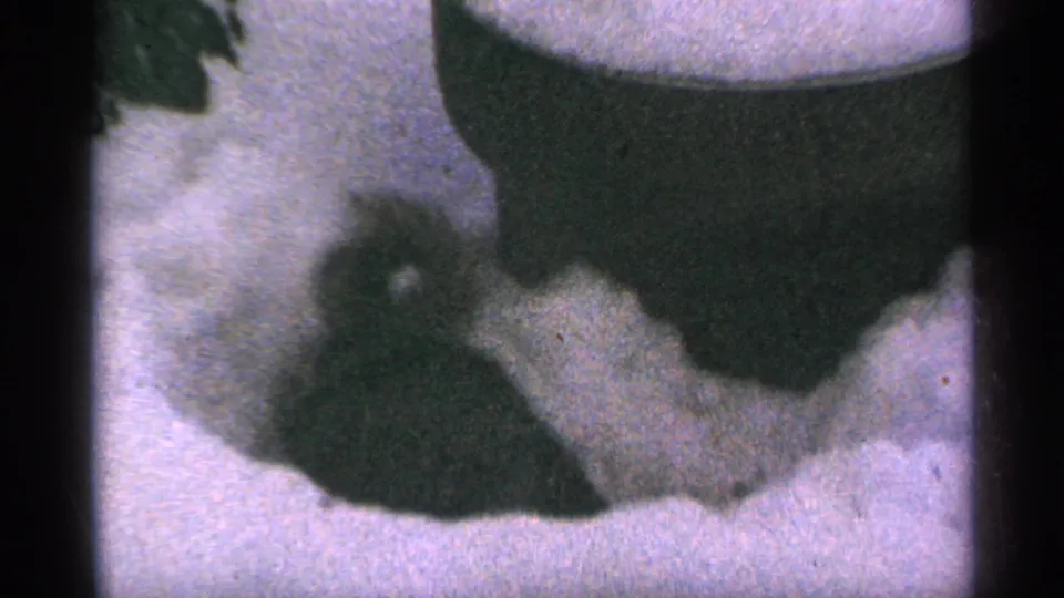 The squirrel remains low in the snow beside a large dark object, with muted color and 8mm grain visible across the frame.