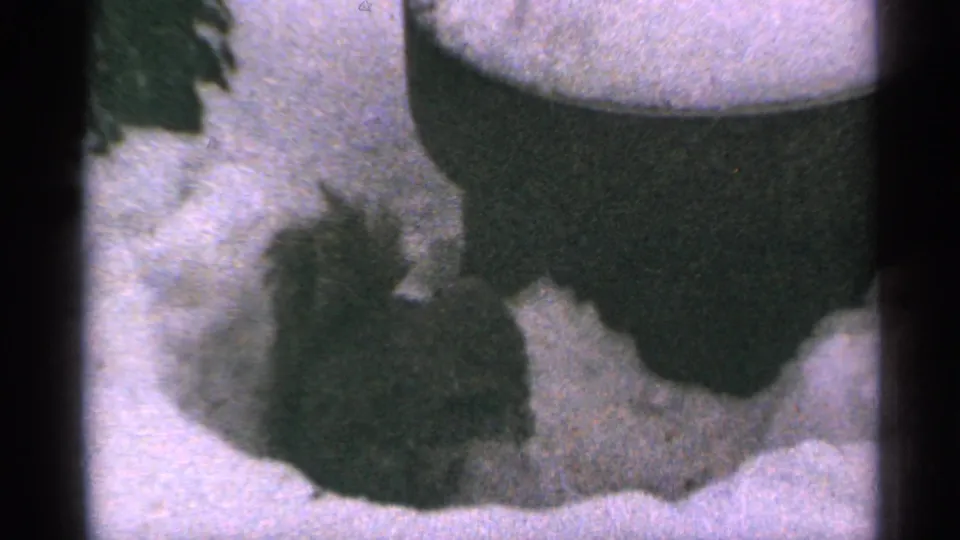 A closer 1965 Minnesota 8mm view shows the squirrel in deep snow under or beside a dark outdoor object, with visible grain and blur.