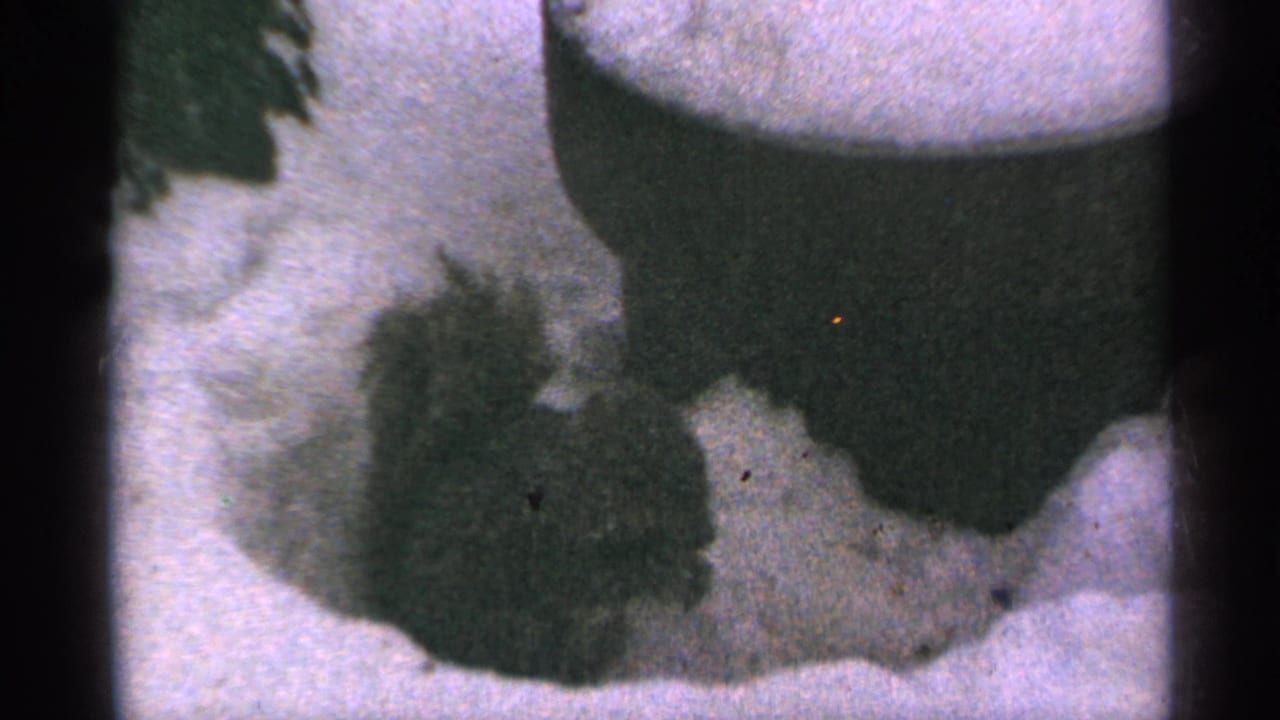 Dark fuzzy shape resting in snow beside film frame edges.