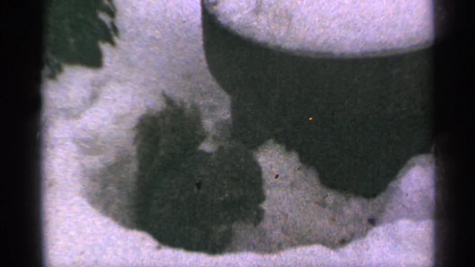 A dark fuzzy object lies on snow in 1965 Minnesota 8mm home-movie footage, with soft focus and visible frame edge shadow.