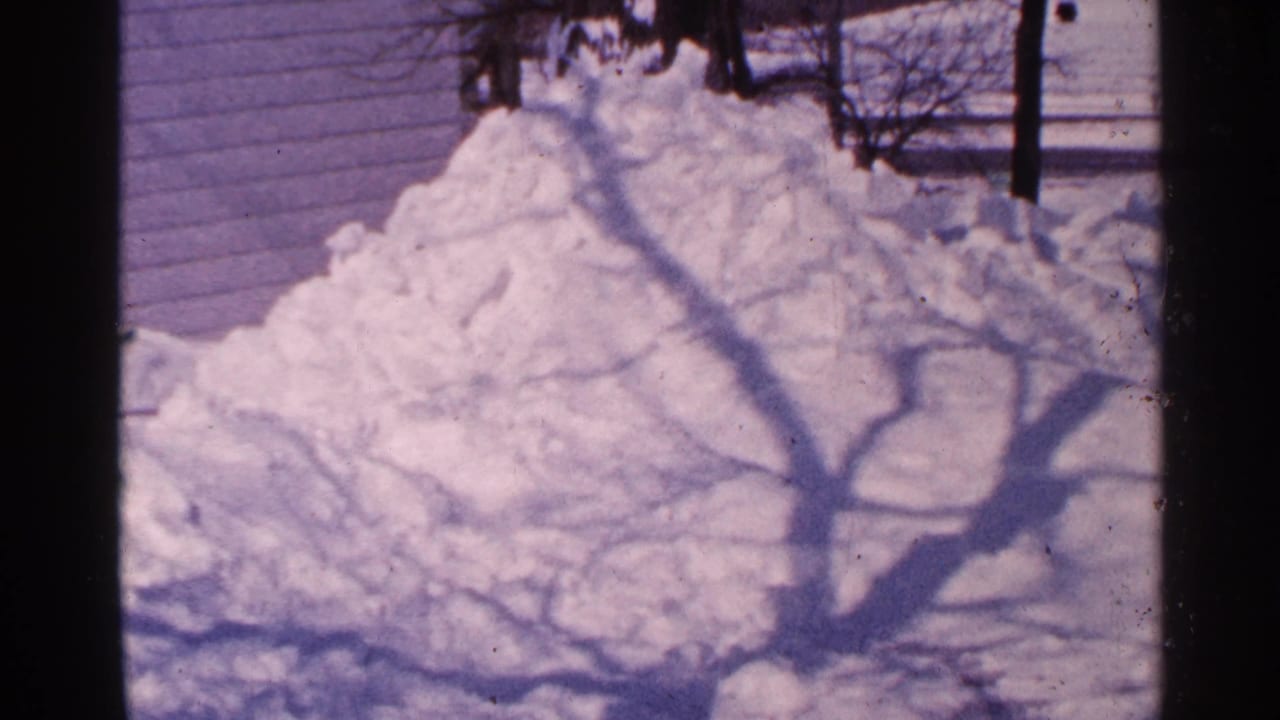 Snowbank with branching tree shadow near house siding and a dark vertical edge.