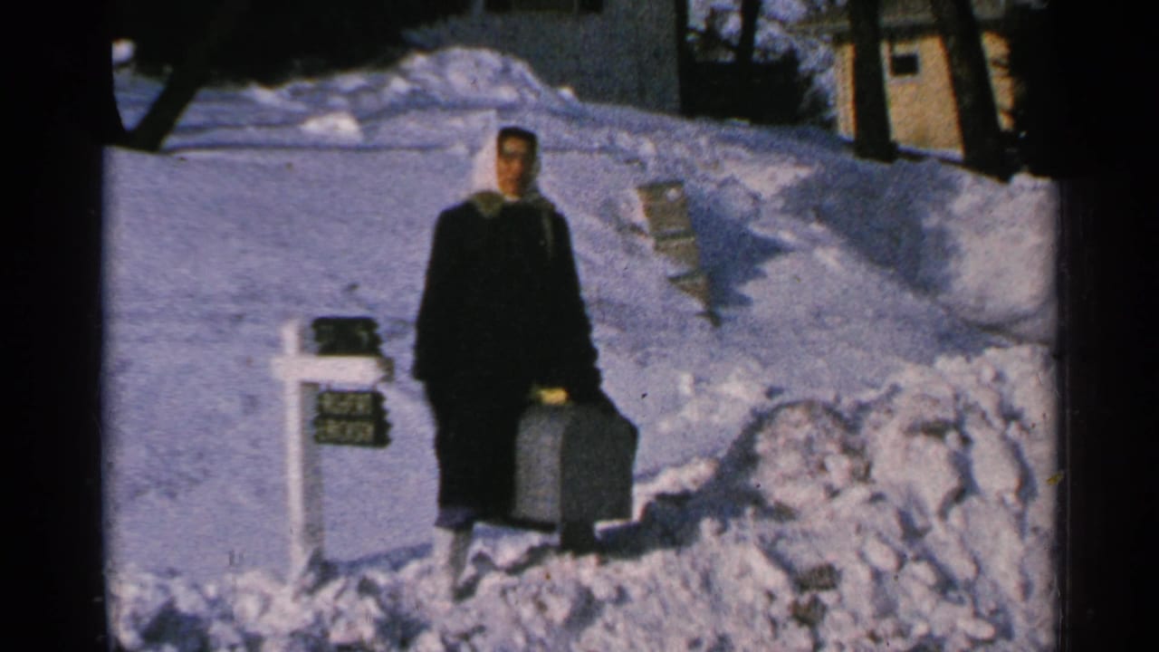 Woman in a dark coat stands in deep snow beside a white mailbox holding a dark suitcase.