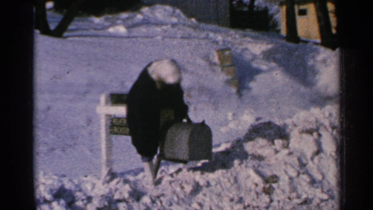 The woman bends at the mailbox in a snowy Minnesota yard, with a dark suitcase or case resting near the snowbank.