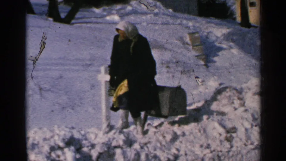 The woman appears to hold mail after reaching into the white mailbox, standing in deep snow with a dark suitcase nearby.