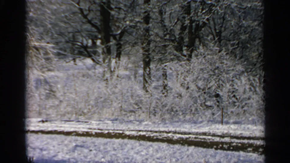 A wider 1965 Minnesota winter view shows snow-covered brush, bare trees, and a dark path or driveway in the foreground.