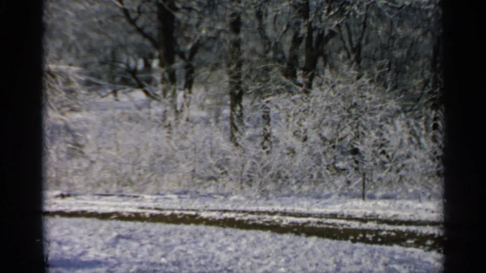 The final frame holds on a snow-dusted woodland edge in Minnesota, with bare trees and brush beyond a dark foreground path.
